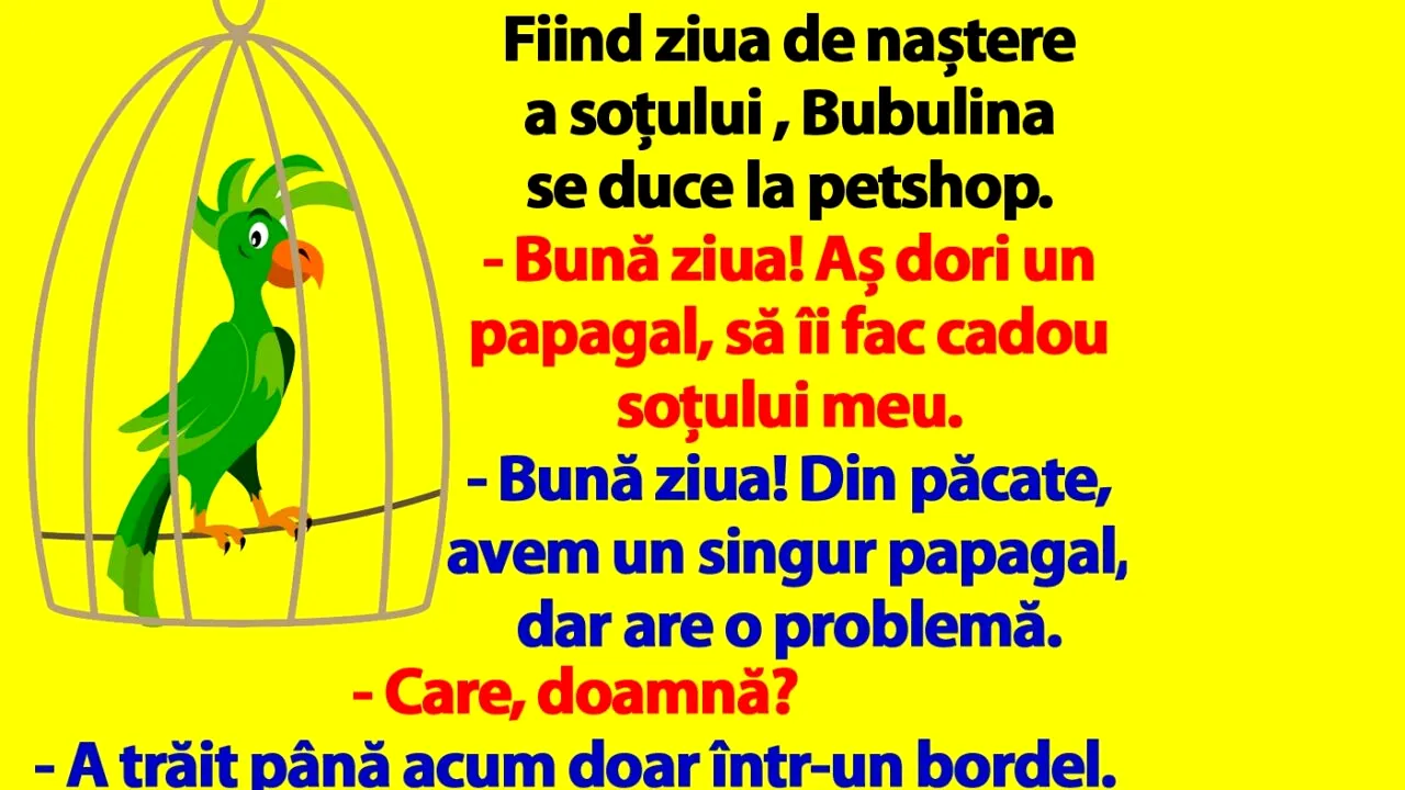 BANC | Bubulina se duce la petshop și cumpără un papagal, cadou pentru Bulă