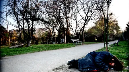 Credeai că nu mai există OAMENI? Gestul unui fermier din Bihor îți va demonstra contrariul