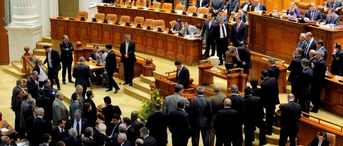 Parlamentarii români: de la tâmplari, agronomi și ingineri reprofilați ca juriști și economiști