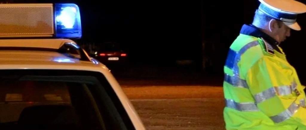 Un șofer a mituit o femeie cu o pereche de cercei după ce a lovit-o pe ZEBRĂ. A primit la schimb un dosar penal pentru fuga de la locul faptei