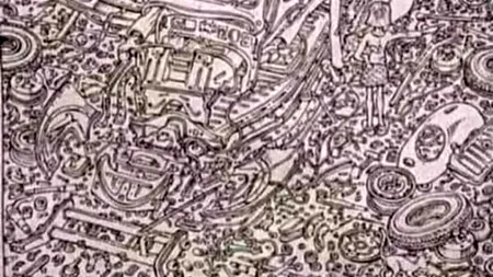 Iluzie optică virală | Dovedește că ai un IQ mare găsind pisica în maximum 5 secunde