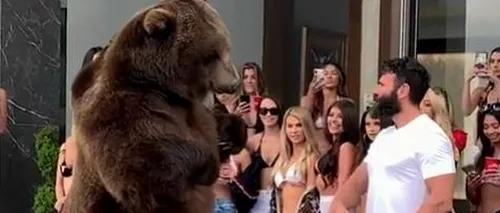 Dan Bilzerian, acuzat că a umilit o ursoaică grizzly în fața fotomodelelor în bikini. „Regele Instagramului, taxat dur: Chiar dacă ai bani, îți lipsește educația