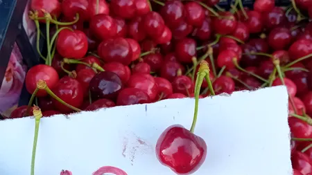 Cele mai IEFTINE cireșe din România! Câți lei costă un kilogram