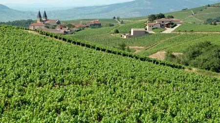 Surpriză: singurul domeniu care a accesat fondurile europene în proporție de 100%. „Am cheltuit INTEGRAL și banii pentru 2013