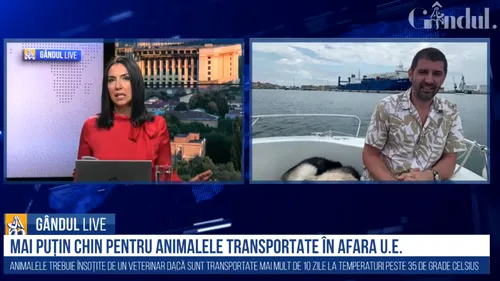 GÂNDUL LIVE. Gabriel Păun, director Animals International, despre Regulamentul pentru bunăstarea animalelor: „Riscăm altfel un infringement direct!” / Mary Pană, lider ACEBOP: „Ne vor ajuta mult dovezile video”