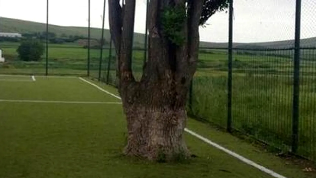 Acesta este satul din România care a ajuns 