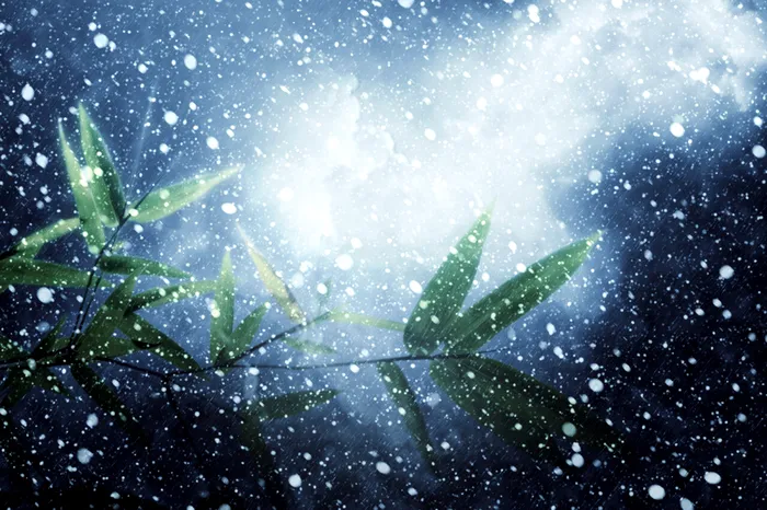 foto ilustrativa: sursa foto: Envato