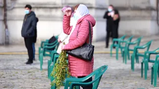 Tot mai mulți credincioși se întorc de Florii la finic, planta originală de pe vremea intrării lui Iisus în Ierusalim. Cum s-a ajuns la salcie