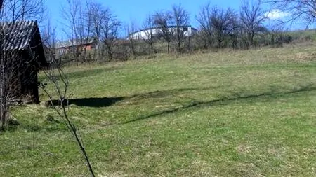 Descoperire macabră într-un oraș din Alba, 