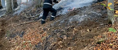 Zeci de pompieri și elicopterul Bambi Bucket intervin în cazul unor incendii de pădure din Caraș-Severin - FOTO / VIDEO 