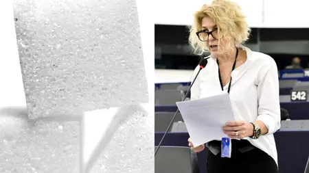 De ce ar putea să DISPARĂ producția de zahăr din România