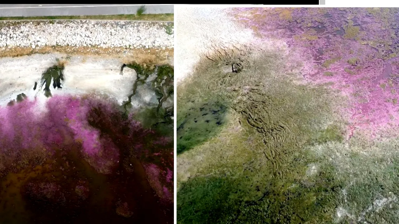 FOTO. Lacul din România care a devenit ROZ peste noapte! Unde se află și ce s-a întâmplat, de fapt