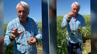 Care este marea iubire a şefului Curţii de Conturi. Eugen Orlando Teodorovici face dezvăluirea într-un lan de rapiţă