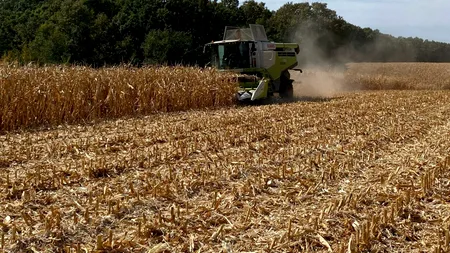 Carmistin The Food Company va prelua divizia de nutriție animală din România a Cargill