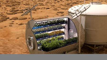 Astronauții vor mânca pentru prima dată salată plantată și crescută pe Stația Spațială Internațională