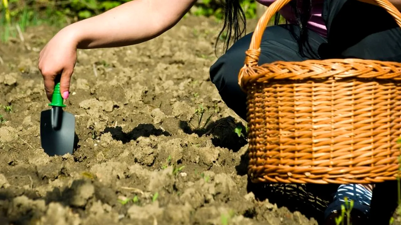 AGRIBUSINESS: Program de training-uri, mentorat și finanțare pentru zece antreprenoare din industria agroalimentară. Participantele pot câștiga 10.000 de euro