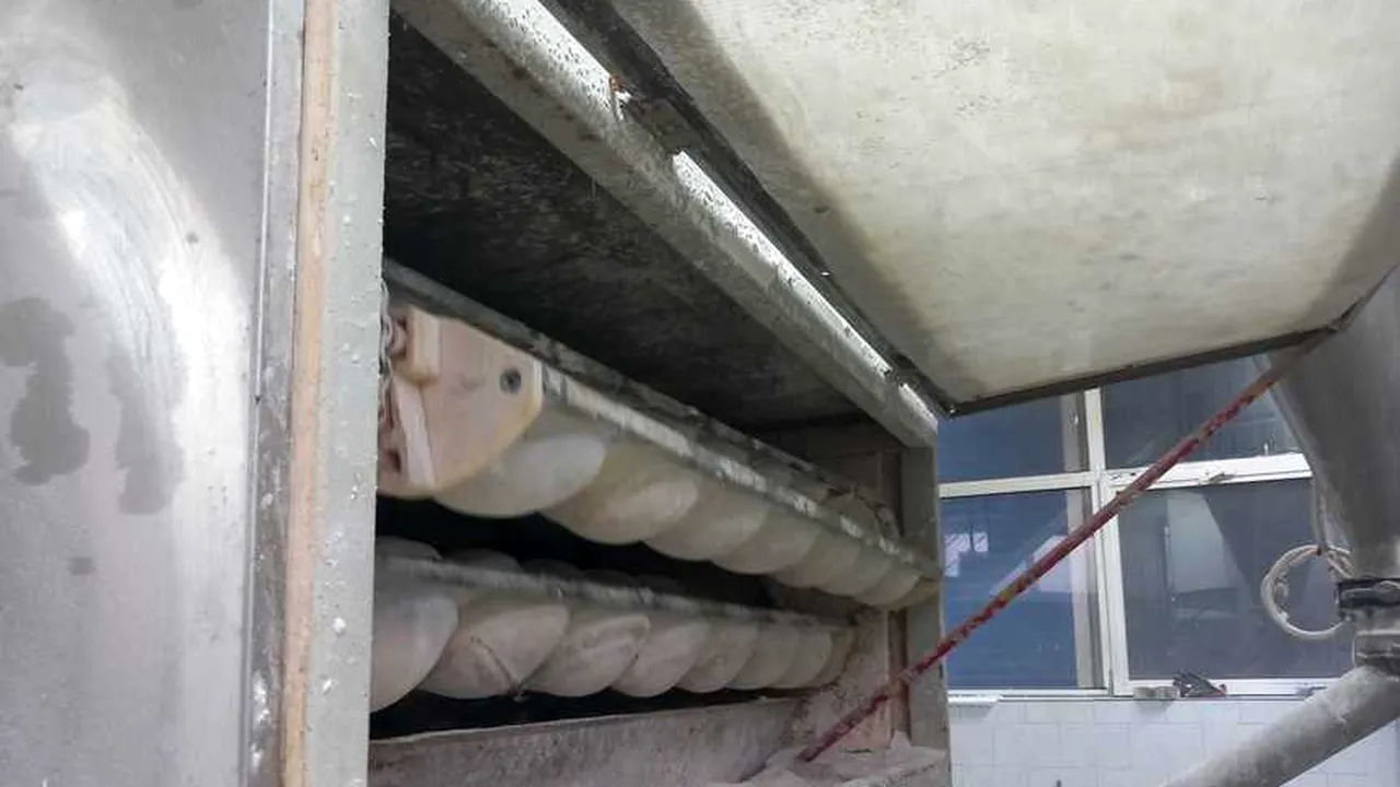 Mucegai, mucuri de țigări sau tăvi cu grăsime. Asta au descoperit inspectorii ANPC la o fabrică de pâine din București