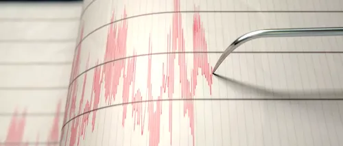 Cutremur cu magnitudinea de 7,3 în Japonia. A fost emisă alertă de tsunami (VIDEO)