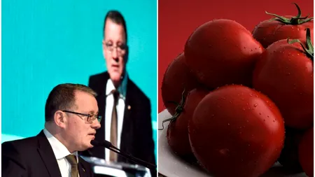 Suspiciuni de fraudă în Programul Tomata. „Au fost foarte multe semne de întrebare privind veridicitatea unor dosare”, (Oros, MADR)