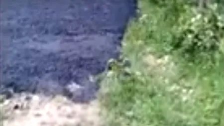 PE DOS. Cum se asfaltează drumul comunal în Argeș: Asfaltul turnat direct pe iarbă! Totul a fost dat în vileag - VIDEO