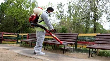 Tratamente pentru combaterea căpușelor, de luni, în parcurile și pe spațiile verzi din Sectorul 4