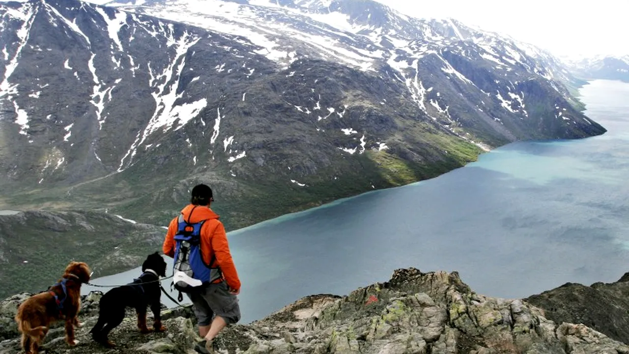 Țara europeană care nu știe ce să mai facă cu banii: încasează un miliard de dolari pe săptămână și nu-i poate cheltui