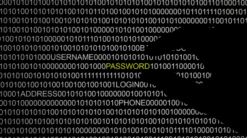 Doi hackeri români, inculpați în SUA pentru accesarea camerelor de supraveghere de la Washington. Au compromis sistemul informatic înainte de ceremonia de inaugurare a lui Donald Trump