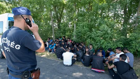 Nouă migranți din Irak, găsiți ascunși în podeaua remorcii unei utilitare 