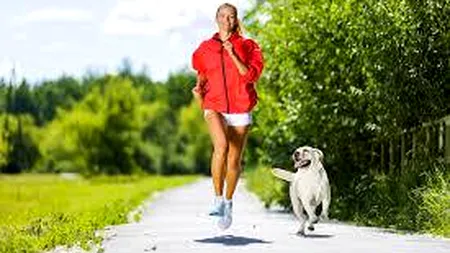 7 pași pentru un antrenament reușit  