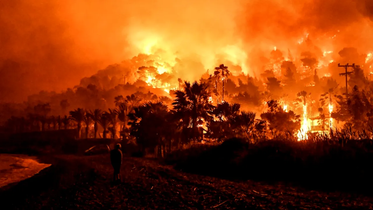 INCENDIILE de vegetație și zonele prioritare de conservare a naturii în Europa