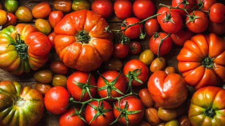 PREȚUL roșiilor românești, aruncat în aer de gerul de afară/Legumicultorii anunță când aduc tomatele în piețe