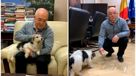 VIDEO | Ce s-a ales de cățelușa găsită de Emil Boc pe o stradă din Cluj-Napoca. Unde a ajuns Ara, de fapt