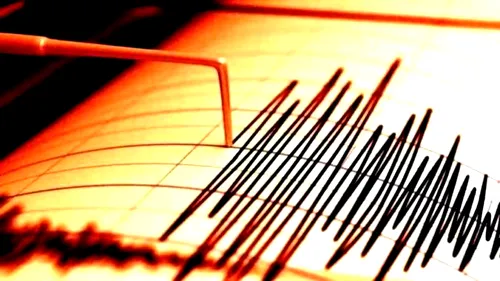 Un cutremur cu magnitudinea 7,6 a avut loc la sud-est de insulele Loyalty