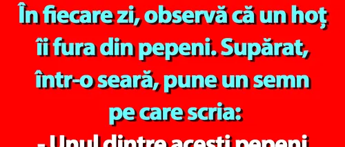 BANC | Bulă și hoțul de pepeni