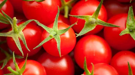 O româncă din Cluj a dat lovitura cu o AFACERE inedită cu roșii bio: „Am folosit fonduri europene nerambursabile de peste 1.000.000 de euro