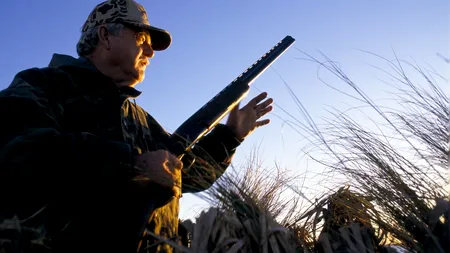 VIDEO. Braconierii, percheziționați de Poliția Română: Suspecții foloseau ogari și dispozitive de vedere pe timp de noapte