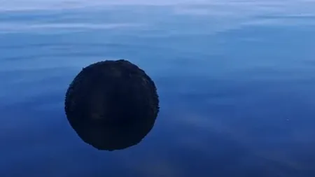 O MINĂ MARINĂ din cel de-Al Doilea Război Mondial descoperită pe braţul Chilia Veche. A fost activată echipa pirotehnică