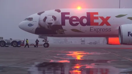 Mesajele ascunse din logo-urile marilor companii. GALERIE FOTO