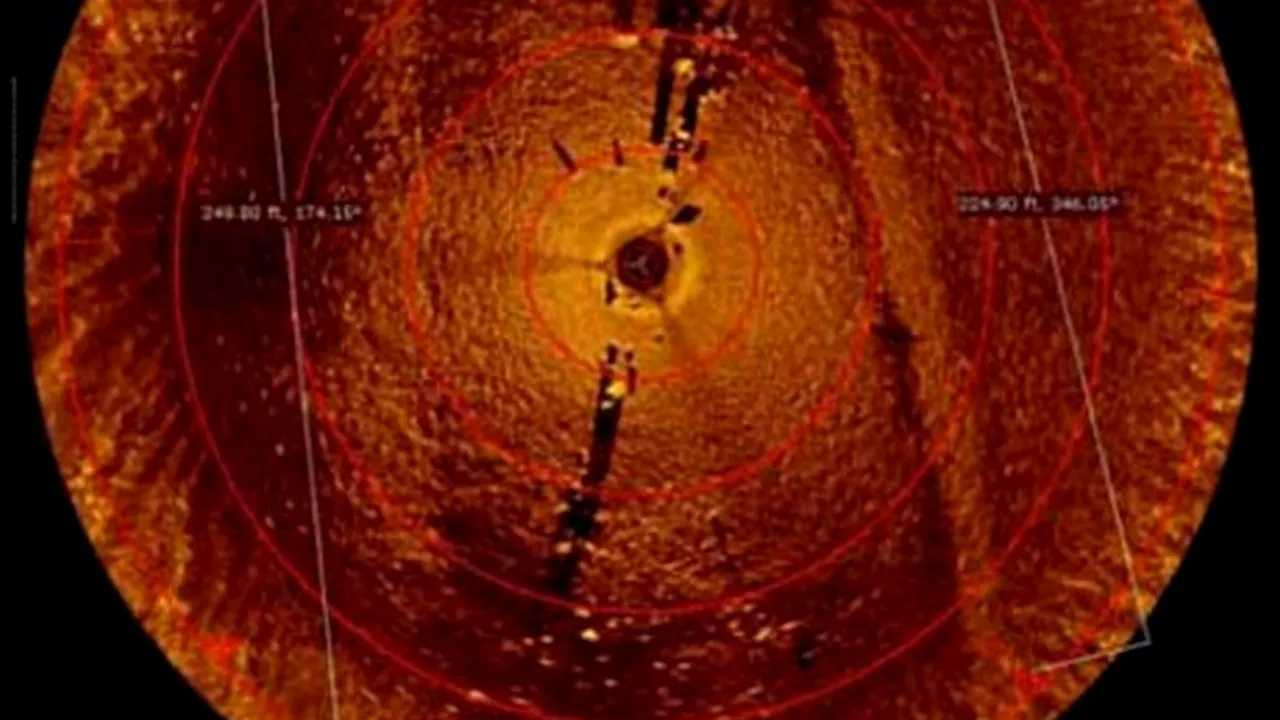 Doi profesori de arheologie care căutau epave anunță o descoperire EXCEPȚIONALĂ