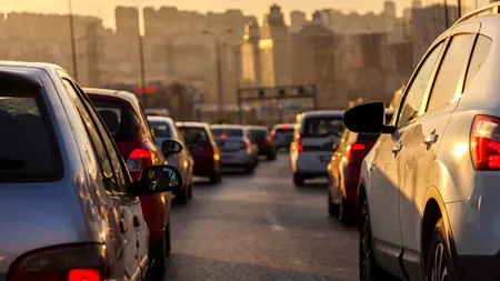 COȘMAR pe DN1: Trafic BLOCAT între Românești și Puchenii Mari din cauza toaletării copacilor