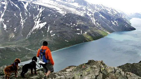 Țara europeană care nu știe ce să mai facă cu banii: încasează un miliard de dolari pe săptămână și nu-i poate cheltui