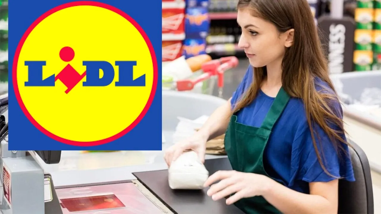 Ce salariu primește o casieriță din LIDL București, acum în 2024. Este nevoie doar de 8 clase terminate