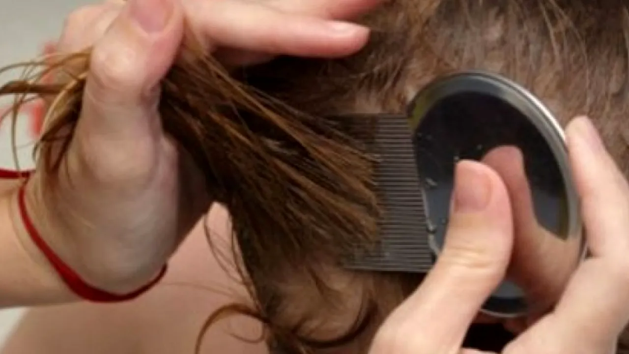 O învățătoare din România a luat păduchi de la elevii din clasa ei. Ce mesaj a postat pe Facebook