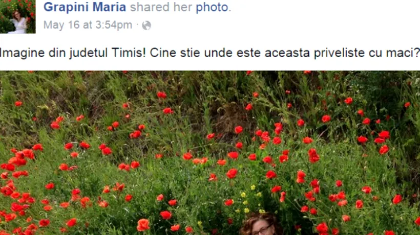 Maria Grapini, mereu surprinzătoare. Imaginea postată pe Facebook a devenit virală și a aprins imaginația internauților