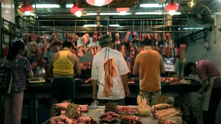 Un studiu arată că aproape 50.000 de animale vii au fost vândute în Wuhan înainte de începerea pandemiei de COVID-19