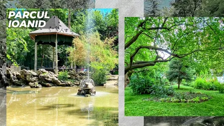 VIDEO | Istoria Parcului Ioanid, unul dintre cele mai vechi din București (DOCUMENTAR)