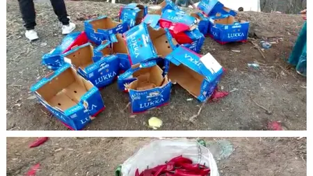 VIDEO | Un TIR plin cu legume s-a răsturnat, în județul Mehedinți. Localnicii și-au umplut sacoșele cu marfa abandonată pe marginea drumului