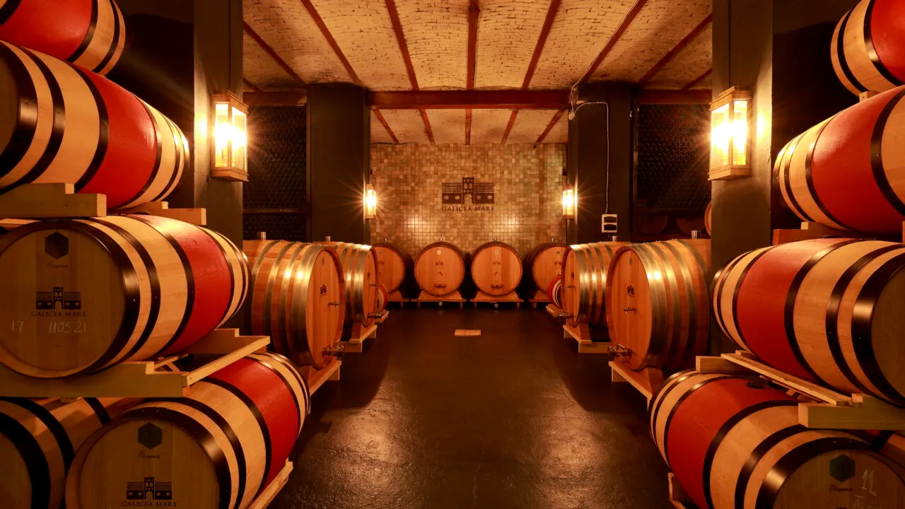 EXCLUSIV | De la crama boierilor Bibescu la casa de licitații. Povestea vinului vândut în premieră la Artmark