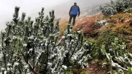 Zăpada a început să se așeze la munte. În masivul Rodna ninge la peste 1.600 metri altitudine. Sfaturile jandarmilor montani – FOTO + VIDEO