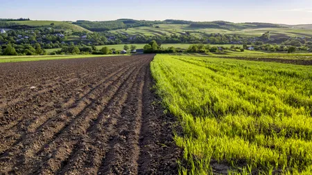 Cu cât se vinde hectarul de pământ în România. În ce zone se află cel mai ieftin și cel mai scump teren arabil